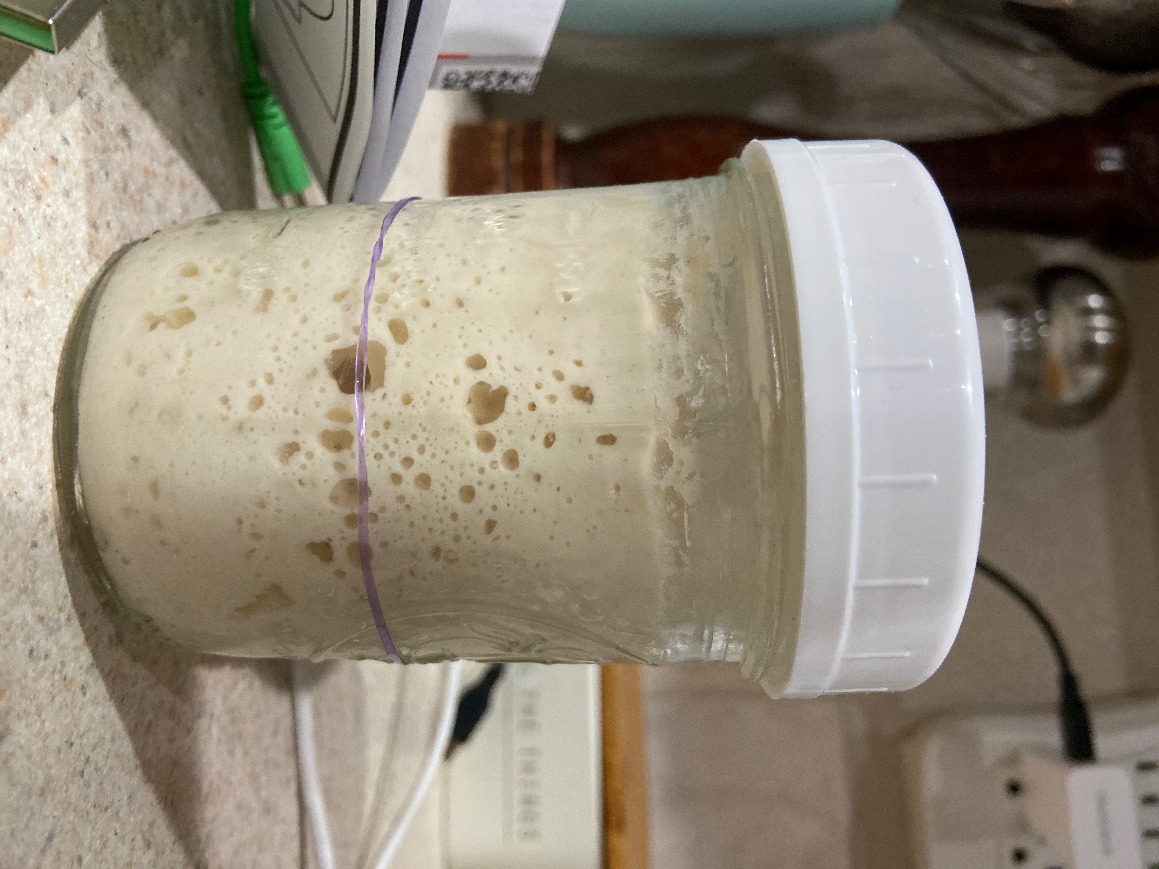 93-year-old sourdough starter